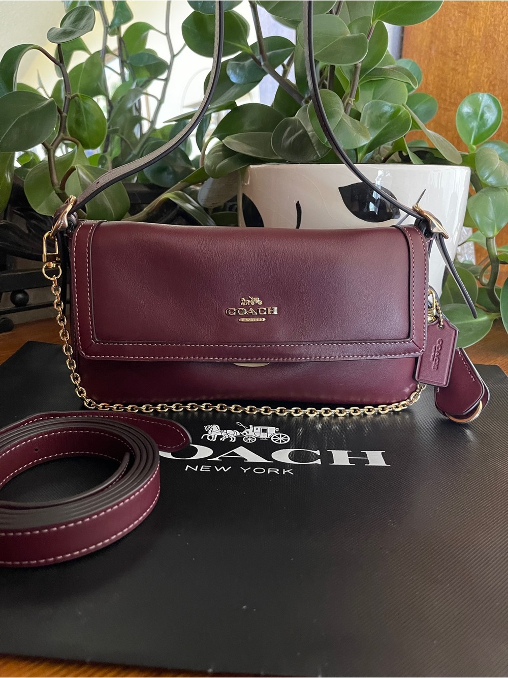 Coach Etta Shoulder Bag with Gold Chain